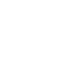 Search & Filter Options